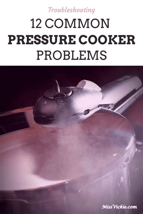 pressure cooker leaking water|Troubleshooting: 12 Common Pressure Cooker Problems